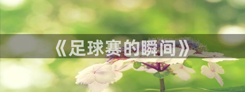 《足球赛的瞬间》