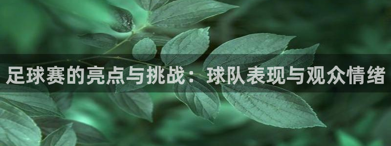 足球赛的亮点与挑战：球队表现与观众情绪