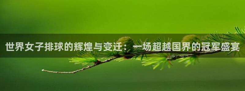  世界女子排球的辉煌与变迁：一场超越国界的冠军盛宴