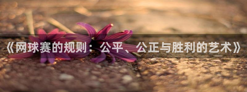  《网球赛的规则：公平、公正与胜利的艺术》