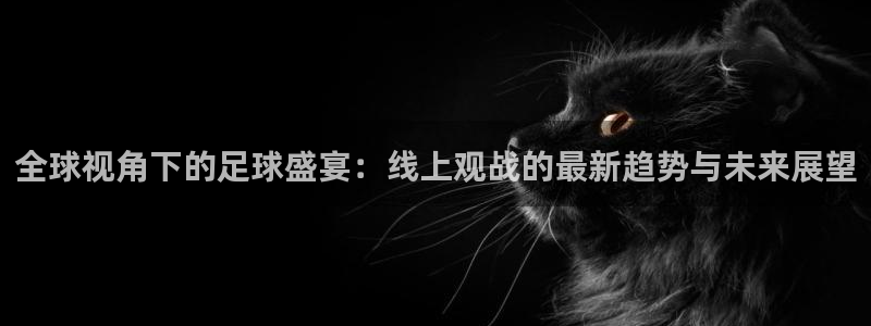  全球视角下的足球盛宴：线上观战的最新趋势与未来展望