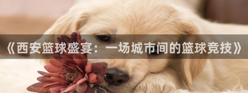  k1体育米乐：《西安篮球盛宴：一场城市间的篮球竞技》