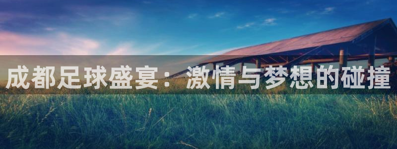 k1俱乐部：成都足球盛宴：激情与梦想的碰撞