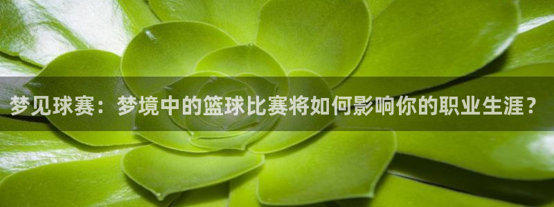  k1体育十年品牌值得信赖PG玩法攻略：梦见球赛：梦境中的篮球